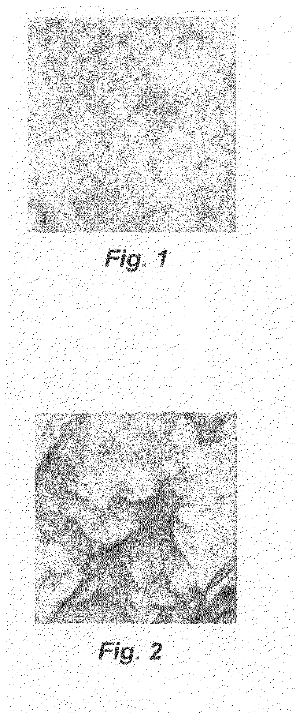 Processing method for nano-miniaturizing chitosan of modifying property