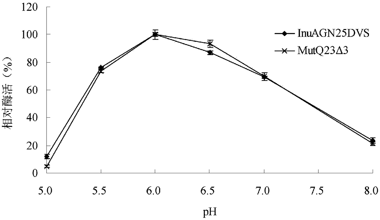 Heat-resistant low temperature exo-inulinase mutant MutQ23 delta 3