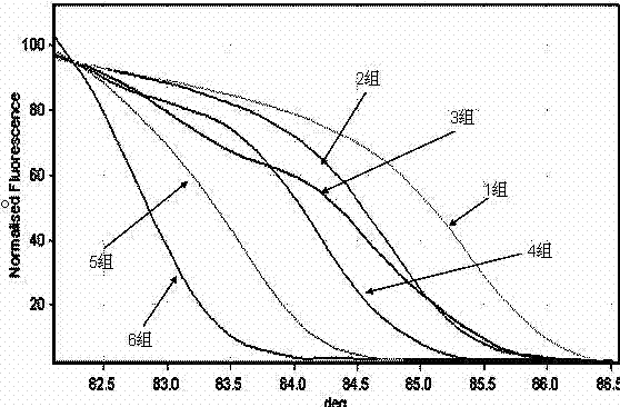 Method for quickly identifying bloodstream infection pathogenic bacteria