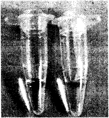 Method for detecting desoxyribonucleic acid anti-counterfeiting maker by utilizing loop-mediated isothermal amplification technology