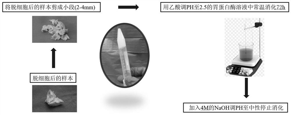 Bionic artificial temporomandibular joint disc and preparation method thereof