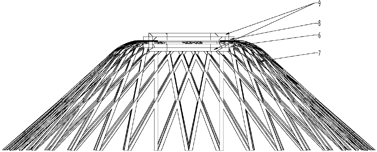 Biological carrier for purifying water body