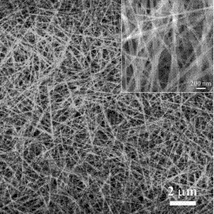 A kind of synthesis method of basic magnesium carbonate nanorod with controllable length and width