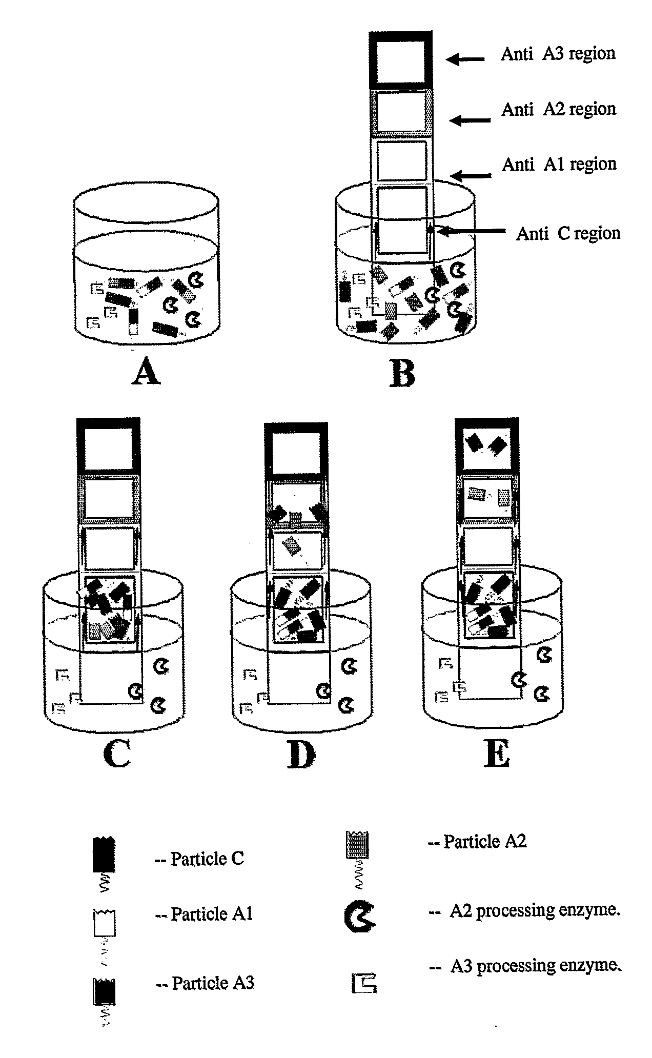 Compositions for- detecting of influenza viruses and kits and methods using same