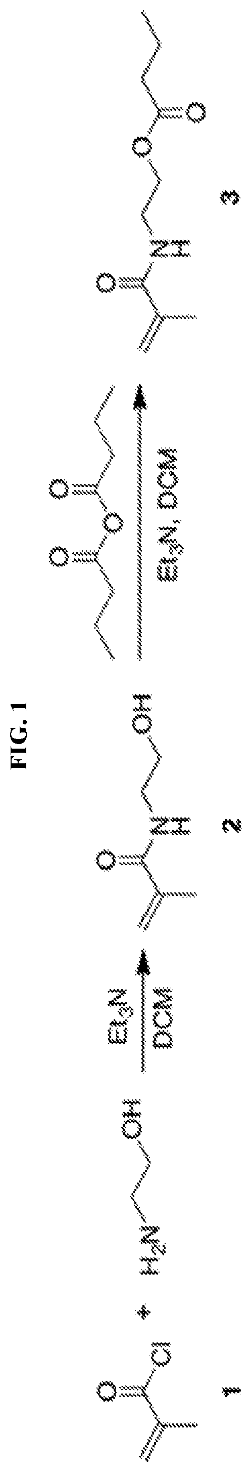 Polymer materials for delivery of short chain fatty acids to the intestine for applications in human health and treatment of disease