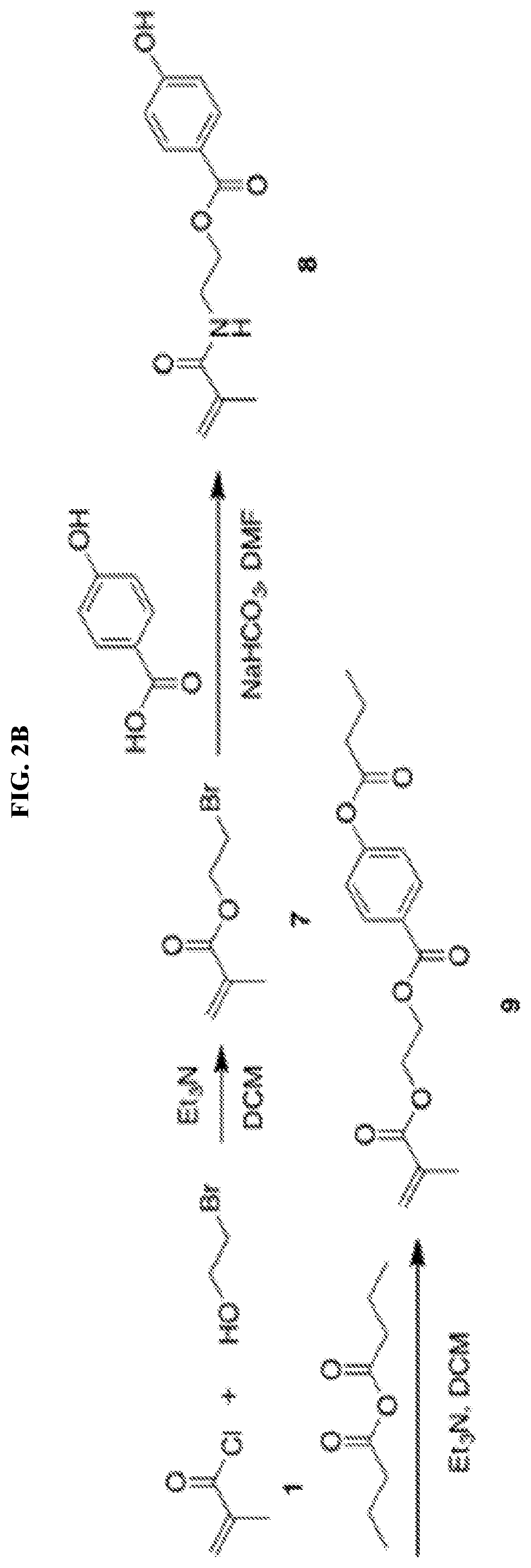 Polymer materials for delivery of short chain fatty acids to the intestine for applications in human health and treatment of disease
