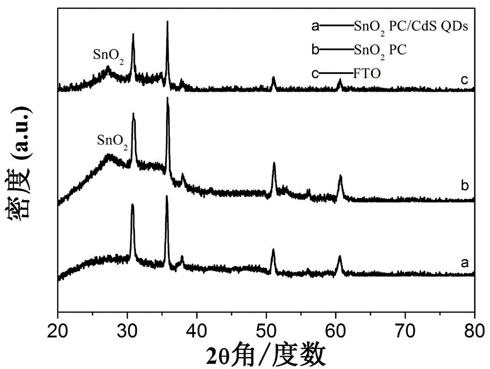 Method for preparing SnO2 PC/CdS QDs composite photocatalyst with high-stability visible-light catalytic activity