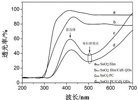Method for preparing SnO2 PC/CdS QDs composite photocatalyst with high-stability visible-light catalytic activity