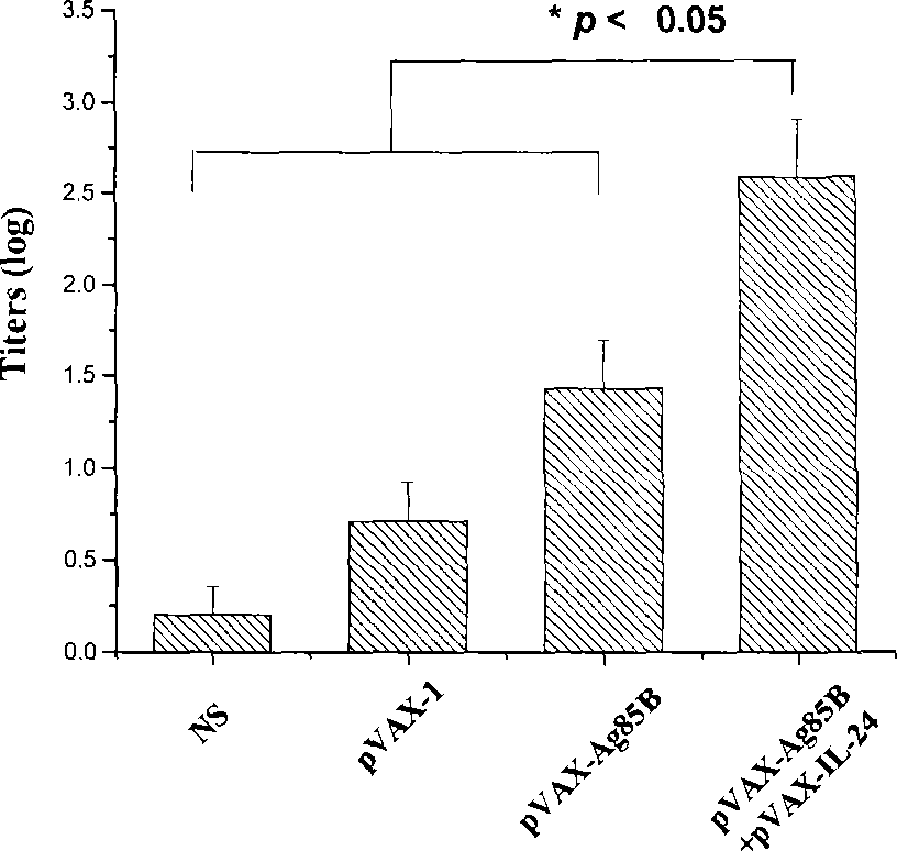 Intensified tubercle-resisting action of human interleukin 24