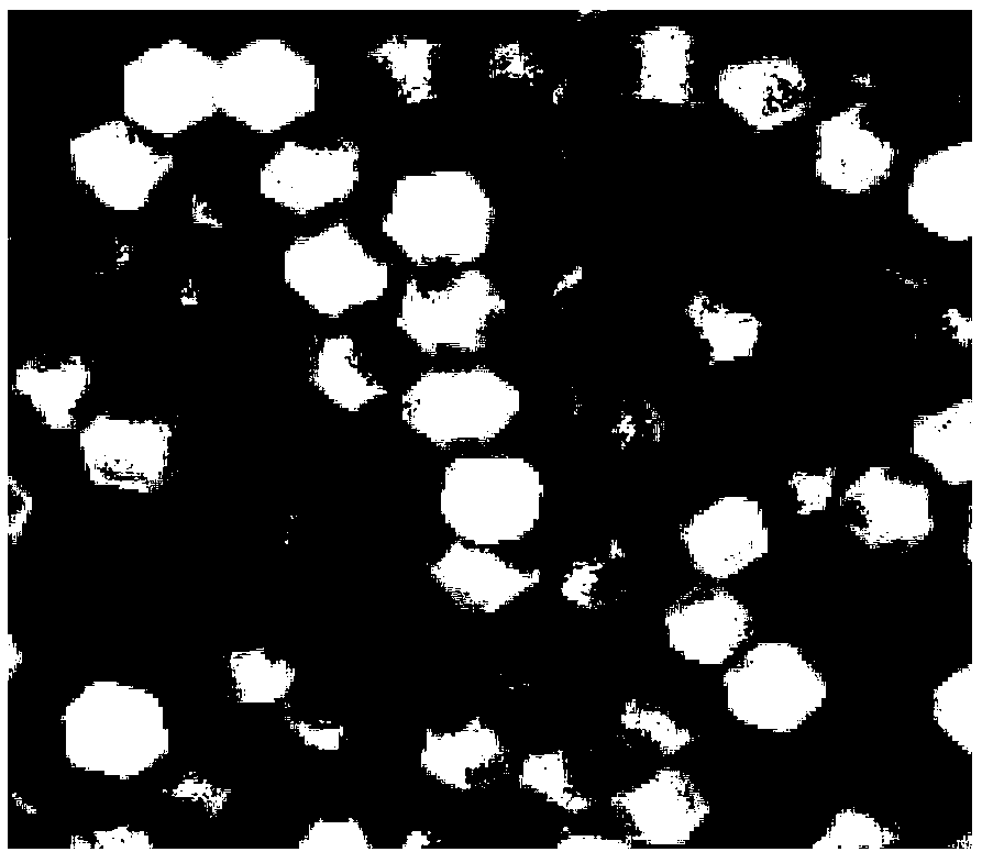 Molybdenum diselenide@ nitrogen-doped carbon dodecahedronal nuclear-body sodium ion battery negative electrode material, preparation method thereof and sodium ion battery