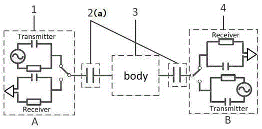 Field-circuit coupled capacitive human body channel modeling method for wearable device