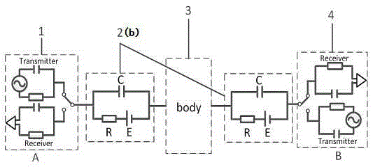 Field-circuit coupled capacitive human body channel modeling method for wearable device