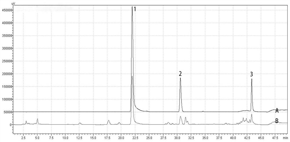 Liquid chromatography method for detecting corresponding real object of paeonia lactiflora and liquorice decoction, standard fingerprint spectrum and application