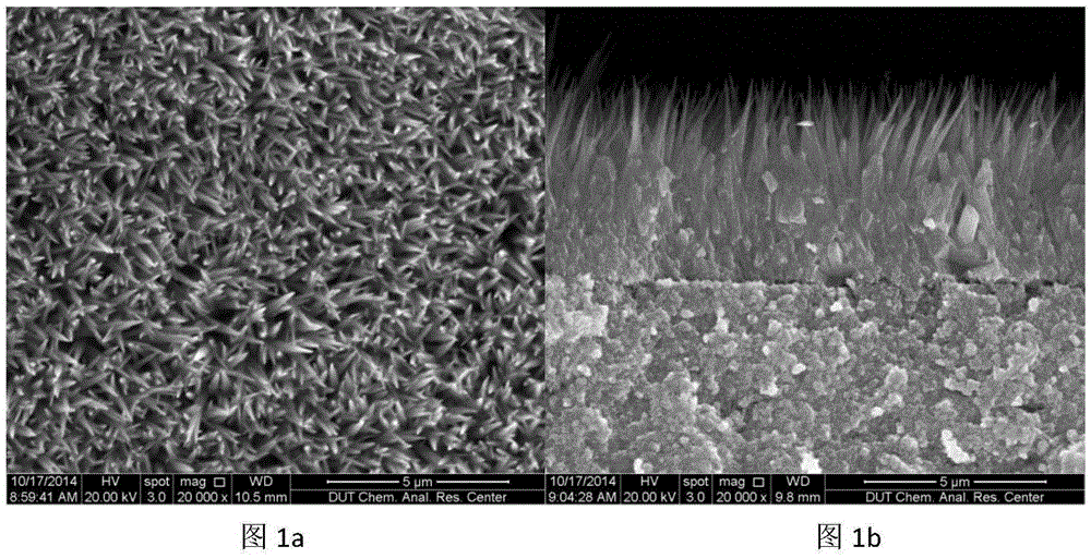 Preparation method for forming metal organic framework ZIF-67 film by utilizing cobalt nano array layer conversion