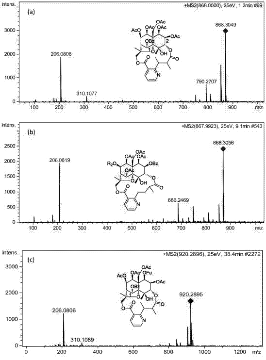 Rapid analysis method of unknown sesquiterpenes pyridine alkaloids in thunder god vine