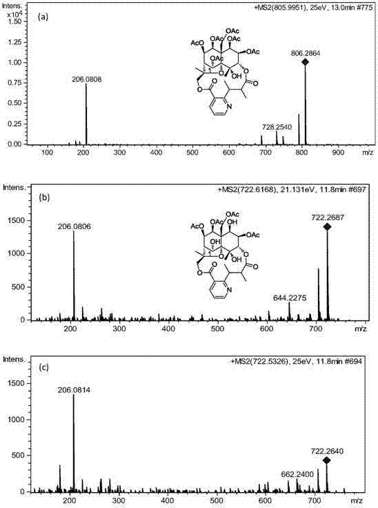 Rapid analysis method of unknown sesquiterpenes pyridine alkaloids in thunder god vine