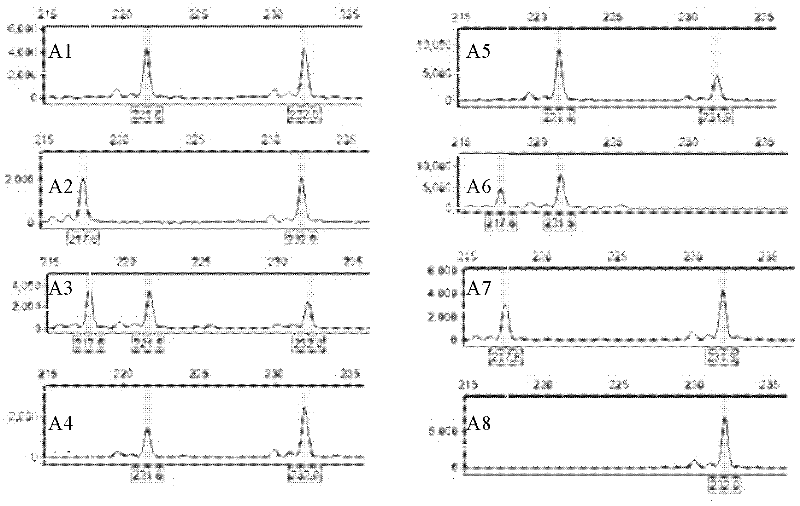 Method for directly identifying homologous recombination of higher plant DNA