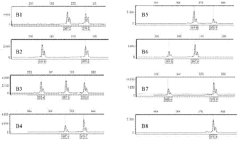 Method for directly identifying homologous recombination of higher plant DNA