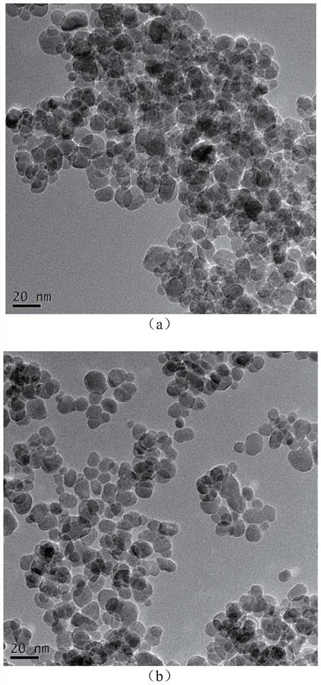 A method for directional immobilization of lipase by nano-iron ferric oxide