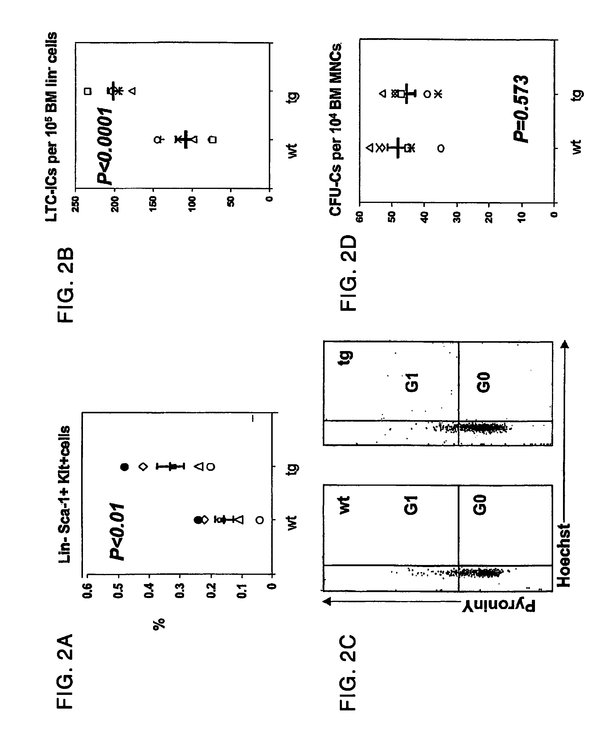 Parathyroid hormone receptor activation and stem and progenitor cell expansion