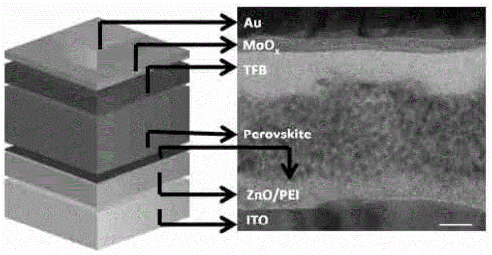 Perovskite type electroluminescence device and preparation method thereof