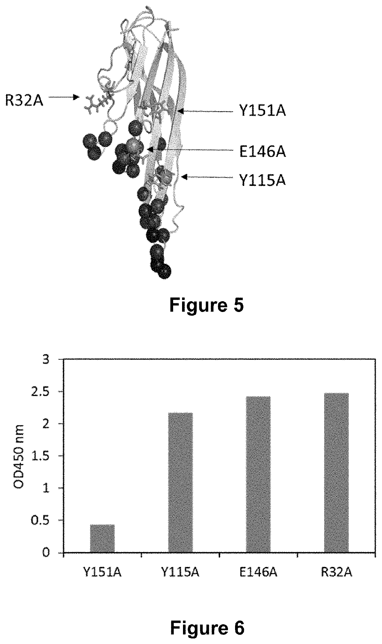 Binders for inhibiting formation of multimeric proteins