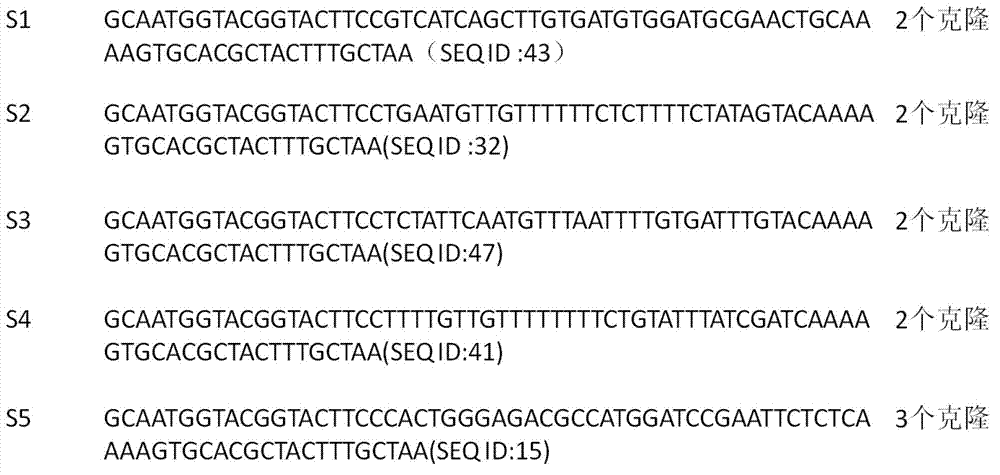 Nucleic acid aptamer specifically binding to human epidermal growth factor acceptor III type mutant and applications thereof