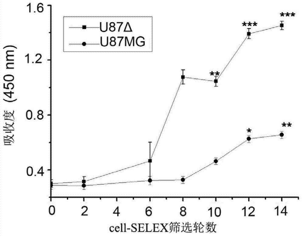 Nucleic acid aptamer specifically binding to human epidermal growth factor acceptor III type mutant and applications thereof