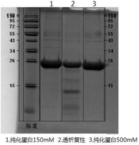 Production method of porcine foot-and-mouth disease type O genetically engineered composite epitope protein vaccine