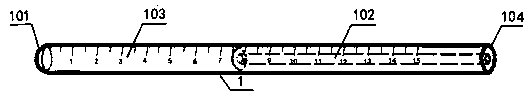 Disposable visualized brain puncture guidance device