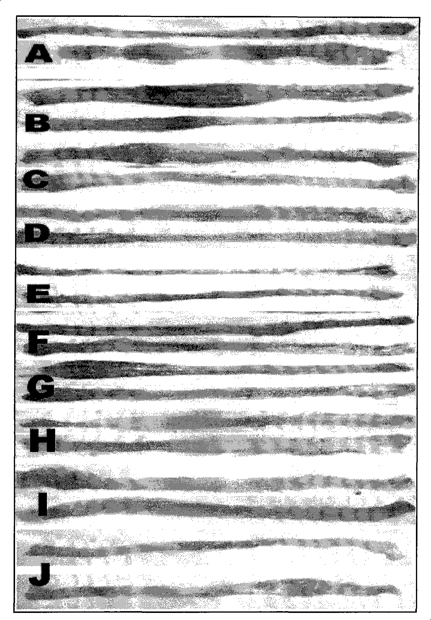 Glycyrrhizic acid, biogastrone acid or its salt, derivative temperature sensing gel rubber, preparation method and application thereof