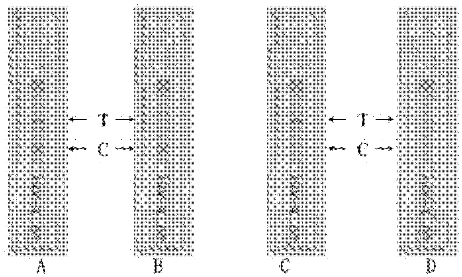 Subgroup J avian leukosis antibody quick test paper card, and application thereof