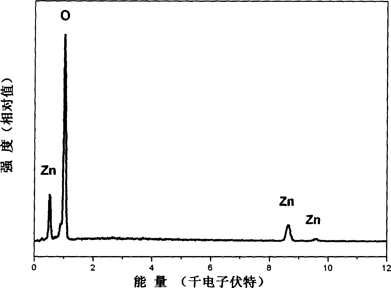 Method for preparing zinc oxide nanometer material with orientation arrangement nano-tubes