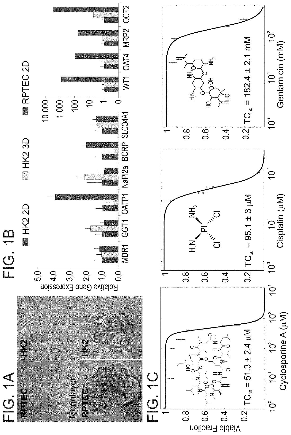 Method for reducing drug-induced nephrotoxicity