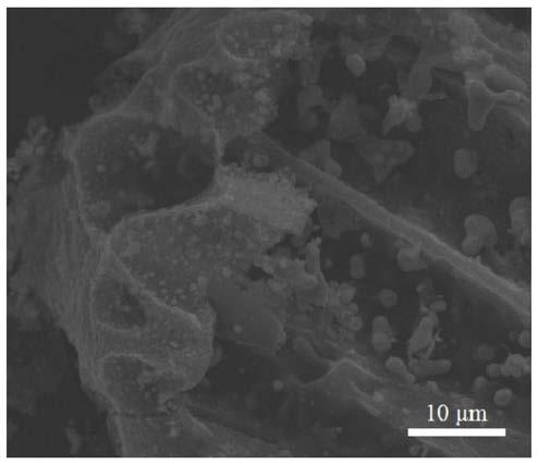 Biochar-based nanometer zero-valent iron material and preparation method thereof