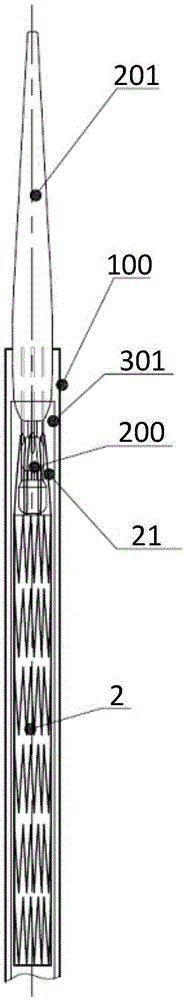 Stent delivering system and use method thereof