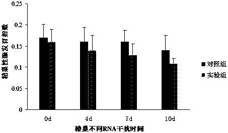 A kind of freshwater shrimp foxl2 protein and its coding gene and application