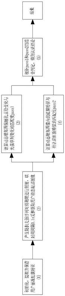 Anti-counterfeiting iris authentication method for smart glasses