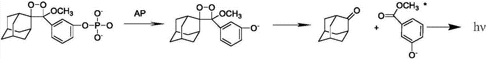 Electrochemiluminescence wash buffer