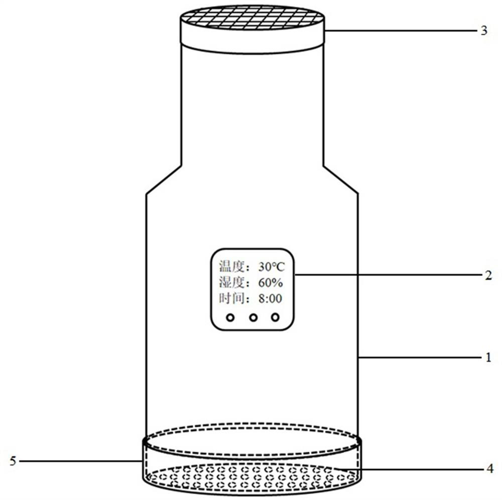 Tobacco beetles raising device and raising method using the device