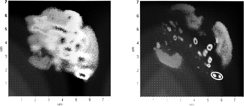 Multi-wavelength micro illumination device