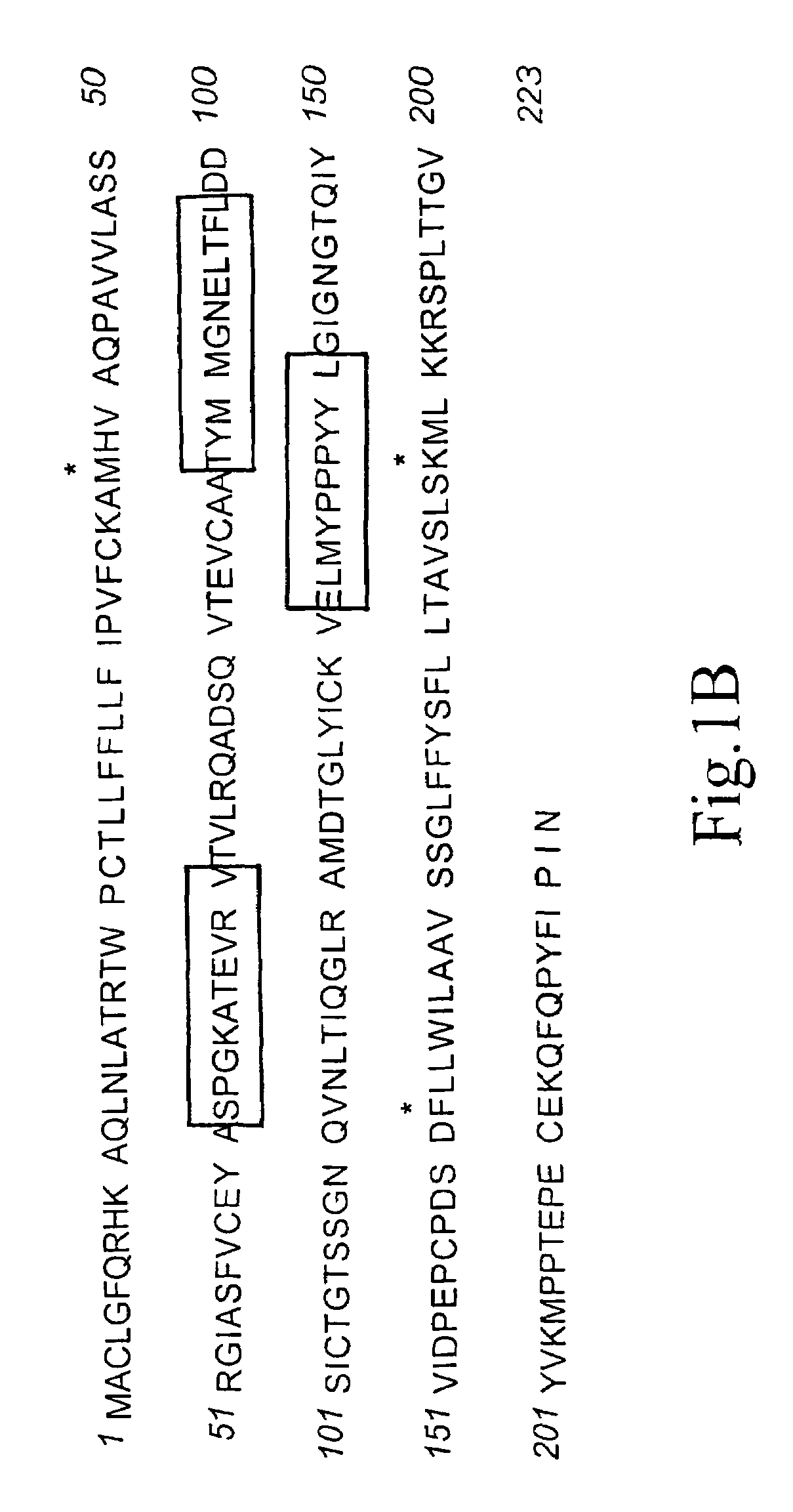 Method for producing human antibodies to human CD152 with properties of agonist, antagonist, or inverse agonist