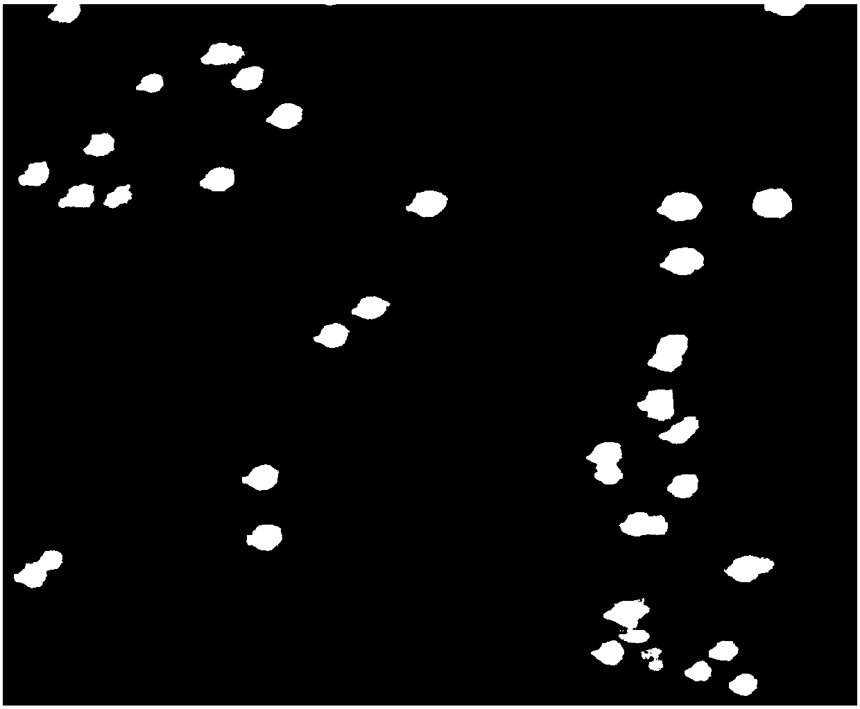 Staphylococcus equorum strain ZH810 and application thereof