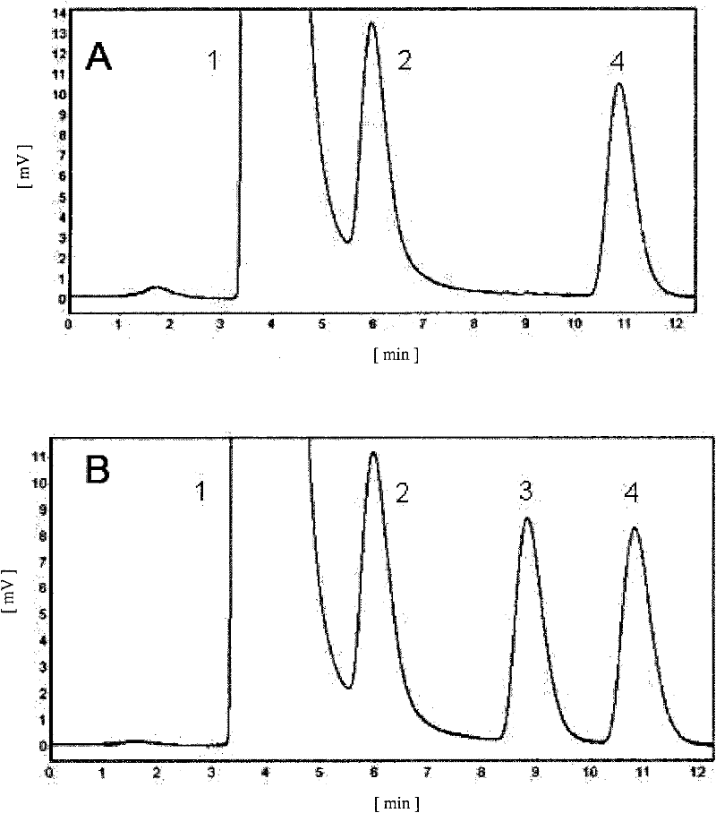 (+) gamma-lactamase with activity on splitting racemate gamma-lactam as well as coded gene and application thereof