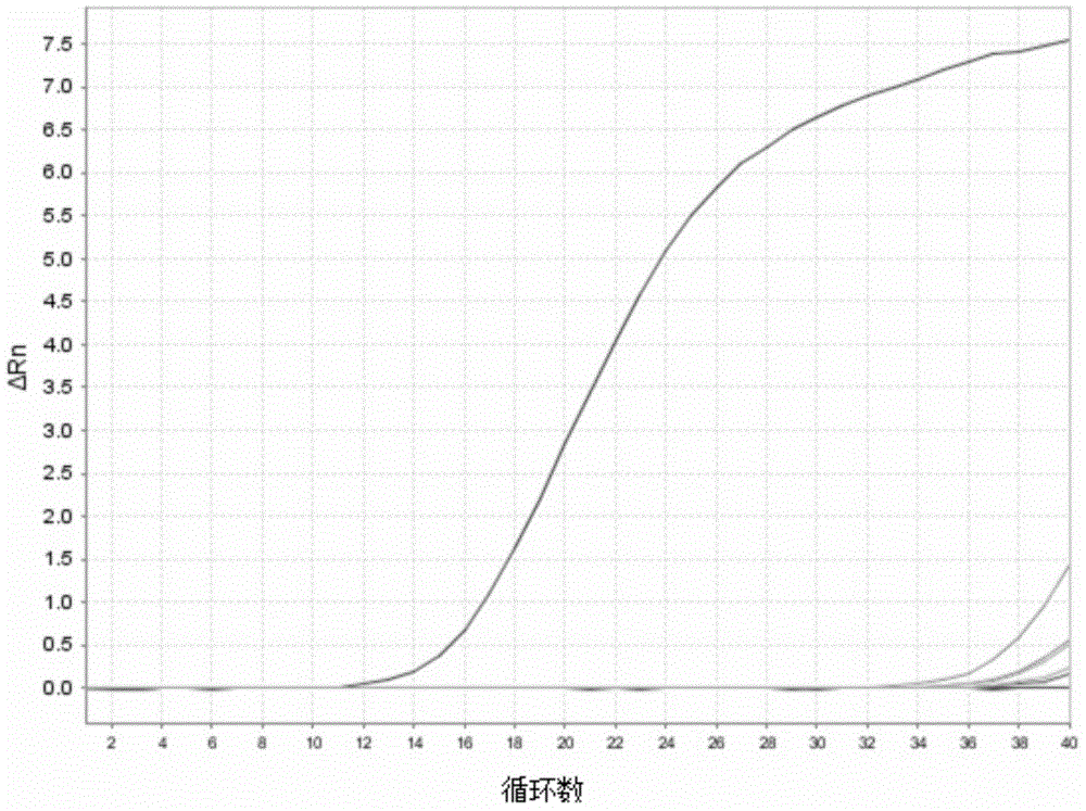 Kit for detecting rabbit-derived components in food and application of kit