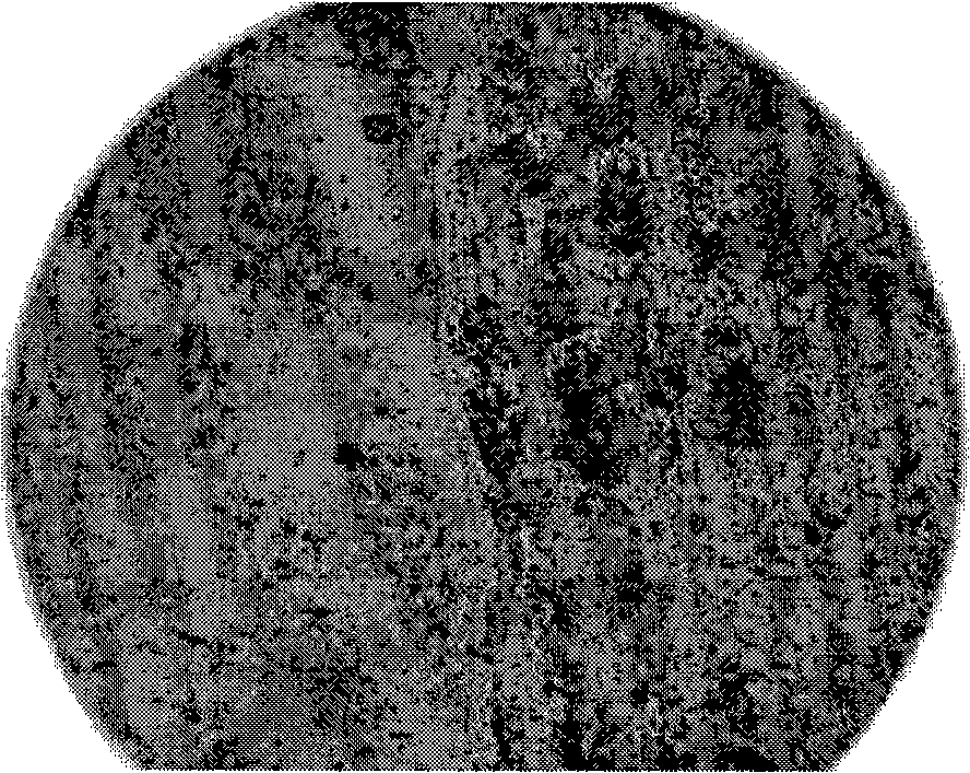 Thinning corrosion method for heavily-doped stibium silicon chip