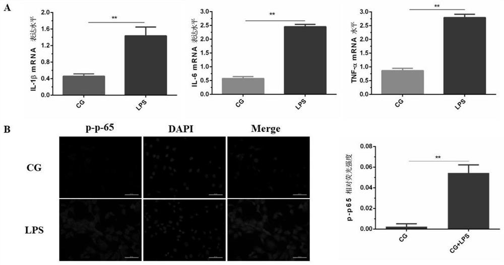 Application of miR-26a in preparation of medicine for treating endometritis