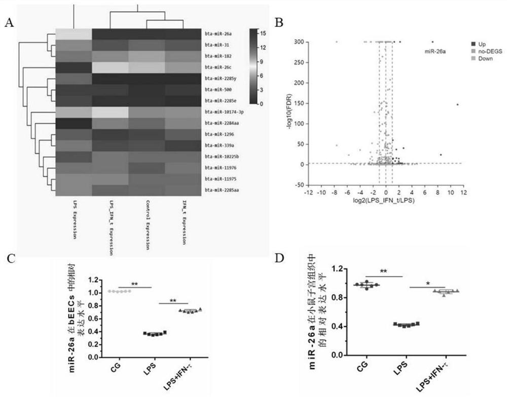 Application of miR-26a in preparation of medicine for treating endometritis