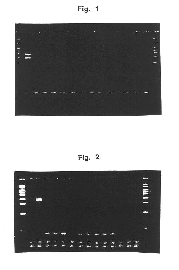 Genes for detecting bacteria and detection method by using the same