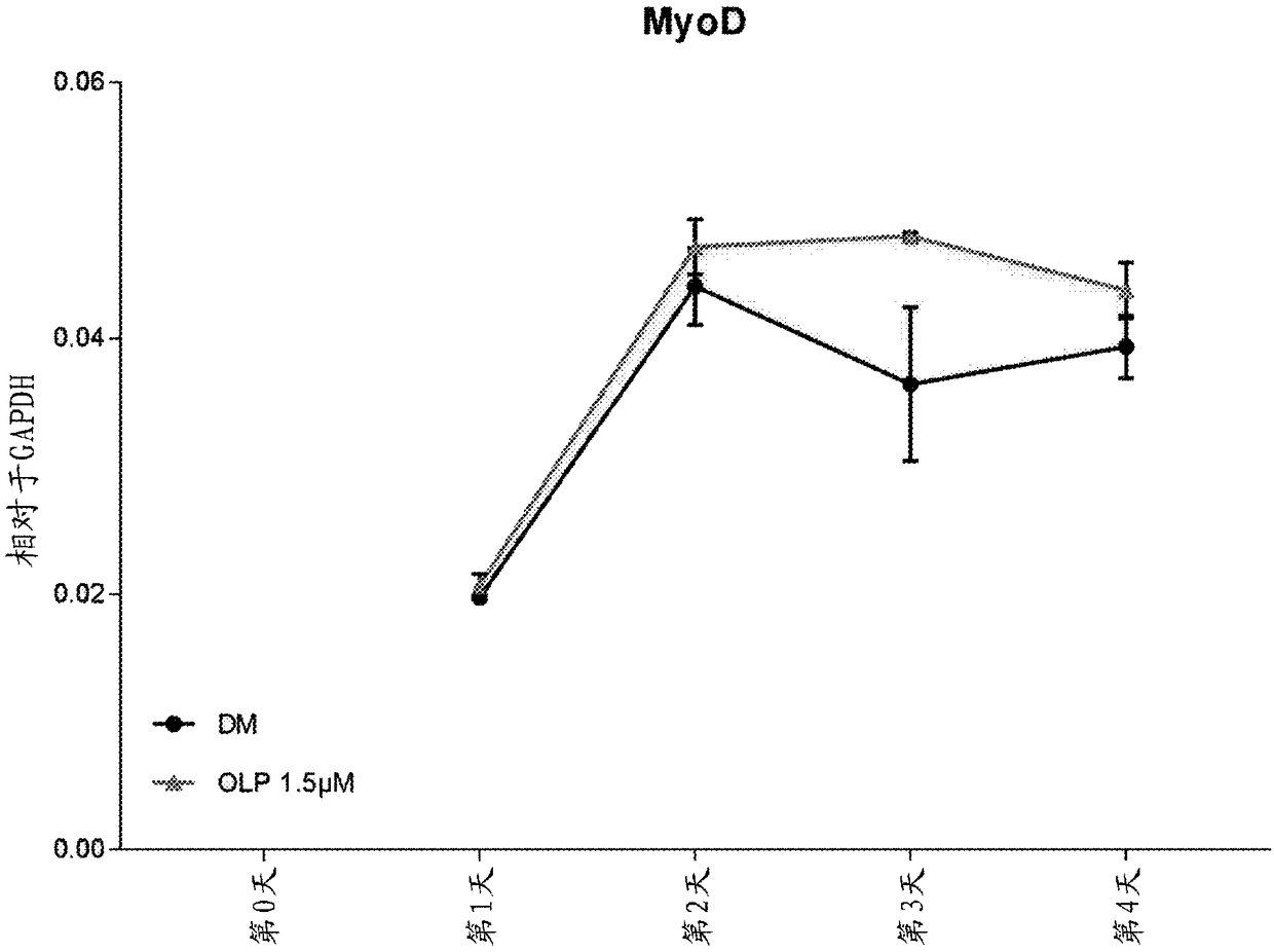 Compositions and methods using a polyphenol for musculoskeletal health